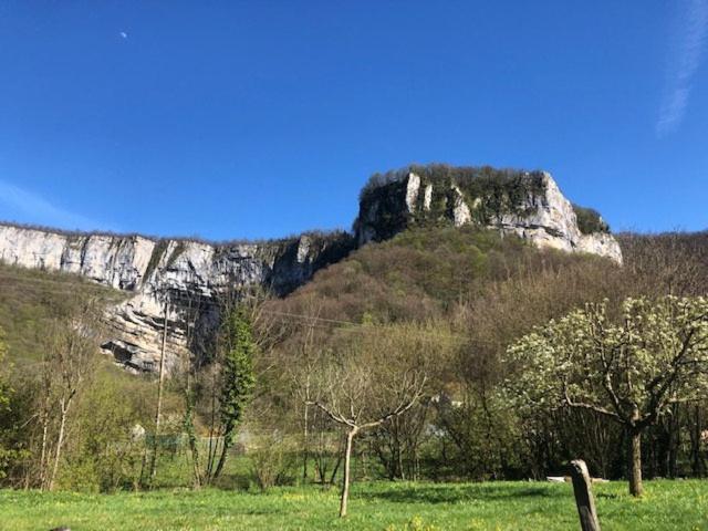 Gite De La Cascade Les Planches-pres-Arbois Eksteriør bilde